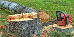 Best Tree Mulching  in Middleton, WI